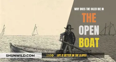 The Oiler's Fate: Open Boat's Mystery Explained