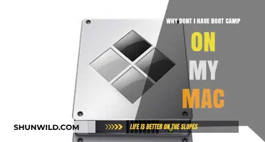 Missing Boot Camp on Your Mac? Here’s Why and What to Do