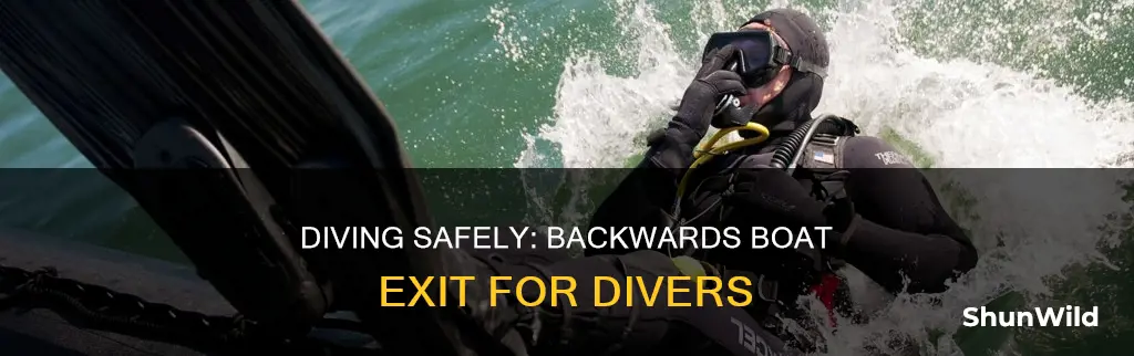 why dp divers go off boat backwards