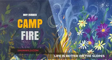 Why Dubbed Camp Fire: Unraveling the Mystery Behind the Name