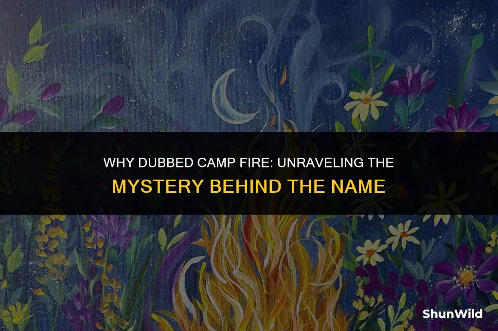 why dubbed camp fire