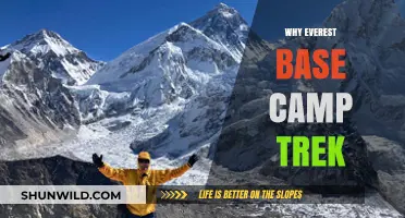Unveiling the Allure: Why the Everest Base Camp Trek?