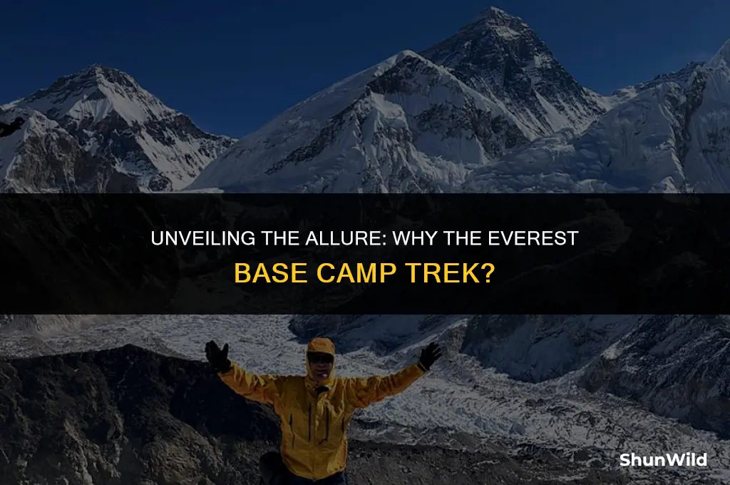 why everest base camp trek