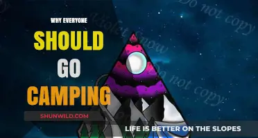 Embrace the Wild: Why Everyone Should Go Camping