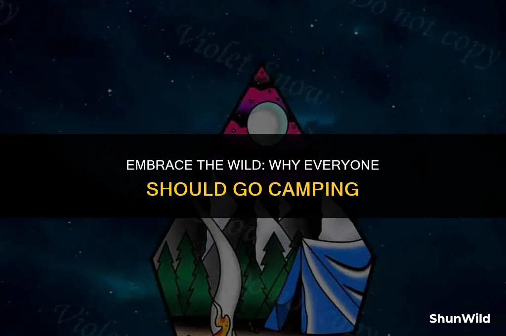why everyone should go camping