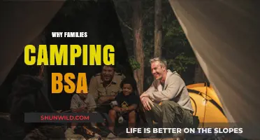 Embracing the Great Outdoors: Why Families Love Camping with BSA