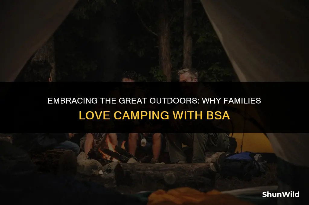 why families camping bsa
