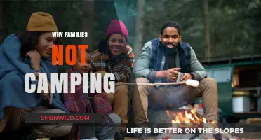 Unplugging Unplugged: Why Modern Families Aren't Camping Anymore