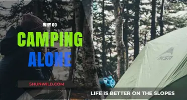 Embracing Solitude: The Unexpected Joys of Solo Camping Adventures