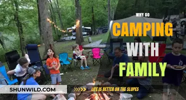 Unforgettable Family Bonding: The Joys of Camping Together