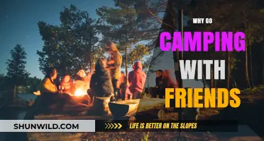 Unforgettable Adventures: Why Camping with Friends is the Ultimate Getaway