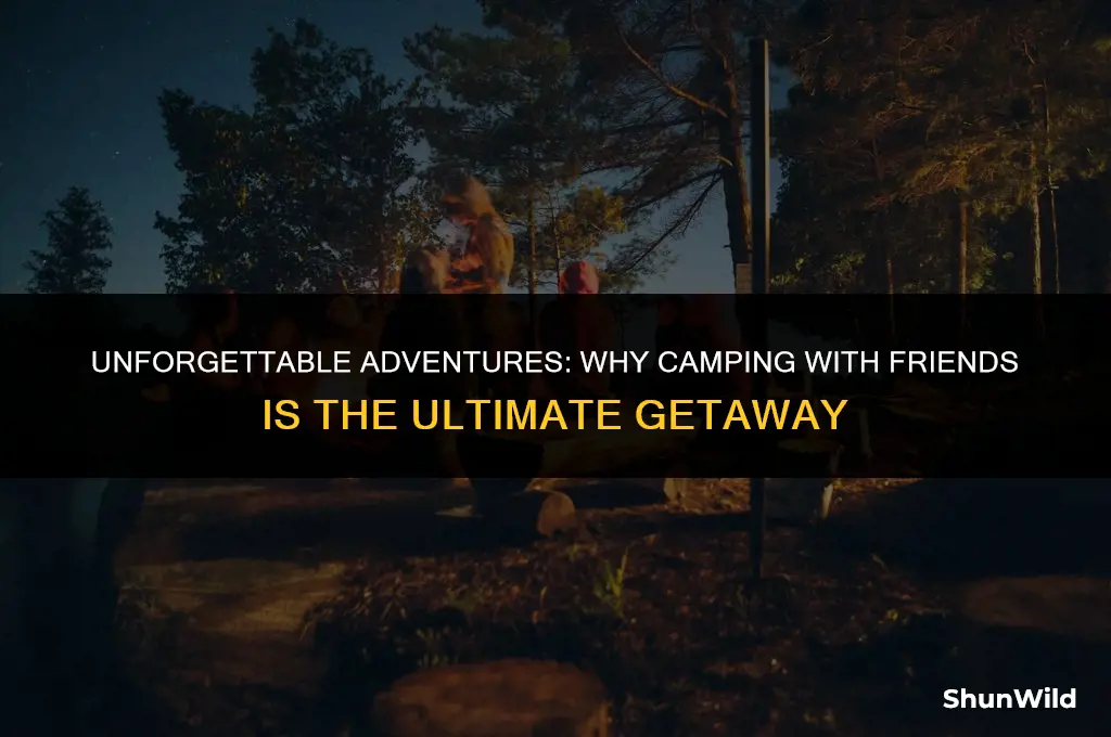 why go camping with friends