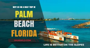 Uncover Palm Beach's Secrets: Why a Boat Trip is a Must!