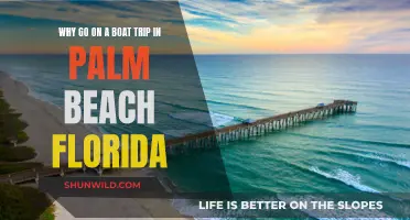 Boat Trips: Palm Beach's Unique, Relaxing Adventure