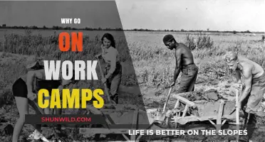 Discover Growth: The Life-Changing Benefits of Work Camps