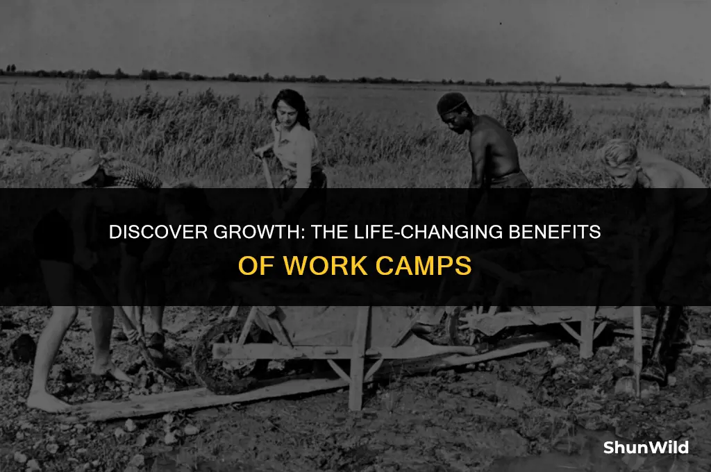 why go on work camps