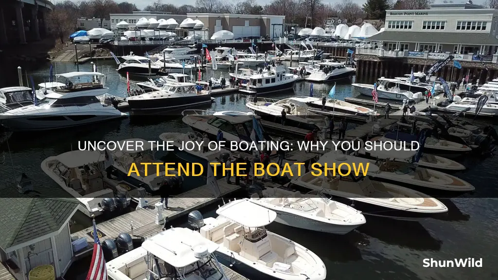 why go to the boat show