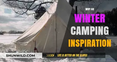 Embrace the Chill: Unforgettable Winter Camping Experiences Await