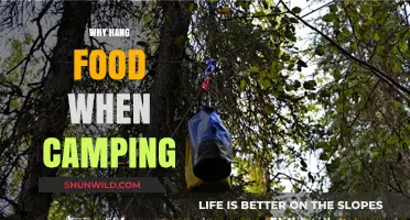 Elevate Your Camping Cuisine: The Art of Hanging Food