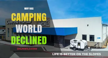 Exploring the Decline of Camping World: A Comprehensive Analysis