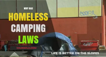 Why Has Homeless Camping Laws: A Deep Dive into Urban Policies