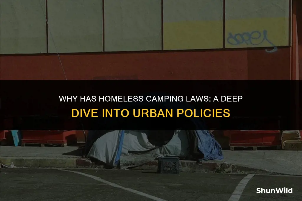 why has homeless camping laws