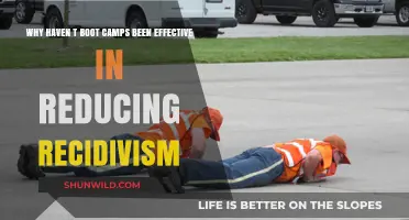 Boot Camps and Recidivism: Why Haven't They Reduced Reoffending?