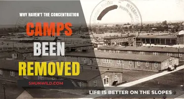 Why Do Concentration Camps Still Exist in Modern Society?