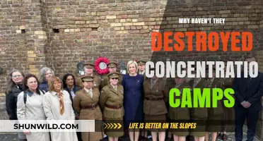Why Concentration Camps Persist: Unraveling the Dark Legacy of Inaction
