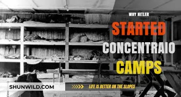 The Horrific Origins: Why Hitler Started Concentration Camps