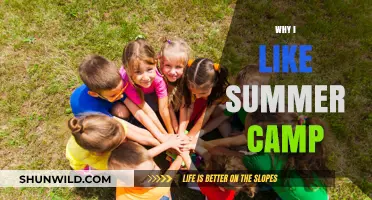 Embracing Adventure: Why Summer Camp Is My Happy Place