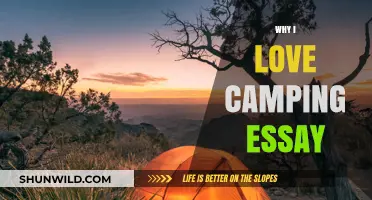 Embracing the Wilderness: My Passion for Camping Explained