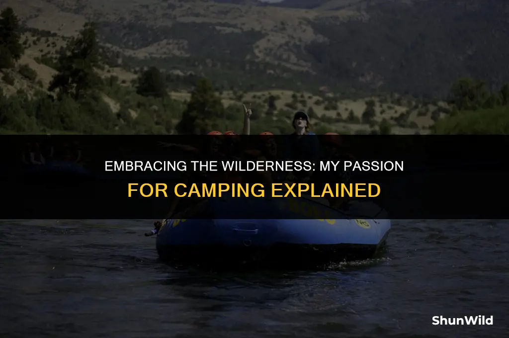 why i love camping essay