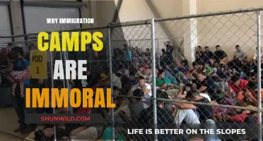 The Ethical Quandary: Why Immigration Camps Fail Humanity