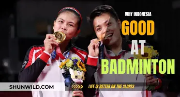 Indonesia's Badminton Success: A Cultural Obsession