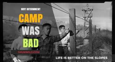 The Dark Legacy of Internment Camps: A Historical Reflection
