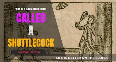 Badminton's Birdie: Shuttlecock's Surprising Origin Story