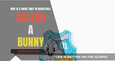 Bunny: The Short Shot's Name Origin in Basketball