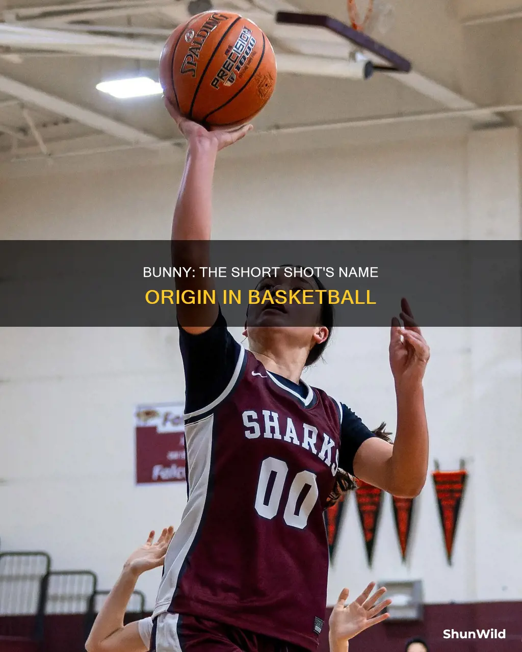 why is a short shot in basketball called a bunny