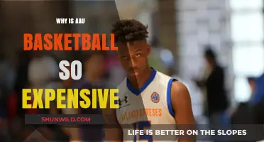 AAU Basketball: Why the High Cost?