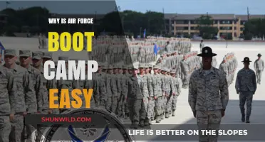 Is Air Force Boot Camp Really Easy? Debunking the Myth