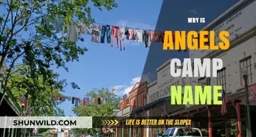 Unveiling the Mystery: The Origins of Angels Camp's Name