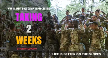 Army Boot Camp Processing: Understanding the 2-Week Timeline