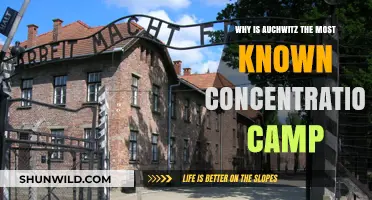 Auschwitz: The Infamous Concentration Camp and Its Lasting Legacy