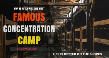 Auschwitz: The Infamous Concentration Camp and Its Lasting Legacy