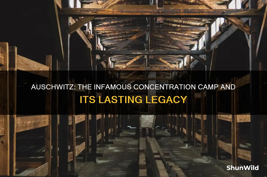 why is auschwitz the most famous concentration camp