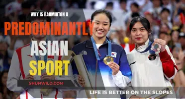 Badminton's Asian Dominance: Why This Sport?