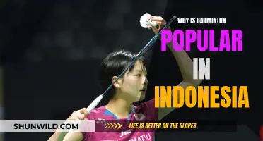Badminton's Popularity in Indonesia: Cultural Significance and More