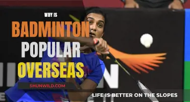 Badminton's Global Appeal: Why is it So Popular?
