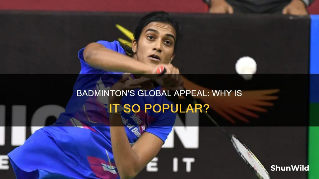 why is badminton popular overseas